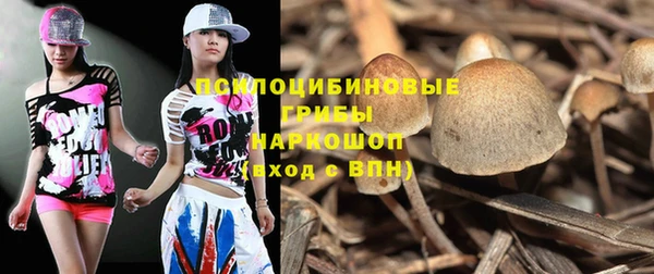 спайс Аркадак