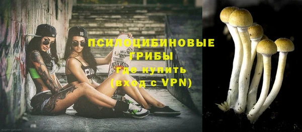 спайс Аркадак
